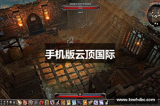 手机版云顶国际